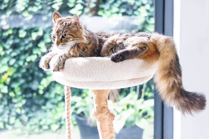 Designed by Lotte Kratzbaum Vilja